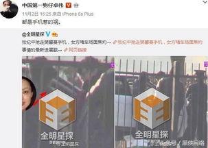 卓伟爆料赵五的记者视频,赵五记者幕后真相大曝光