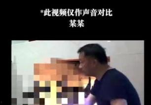 熊孩子录音爆料视频在线观看,家庭生活片段爆笑在线观看